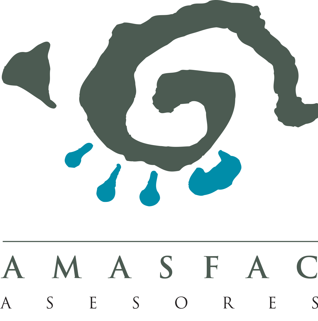 AMASFAC Asesores