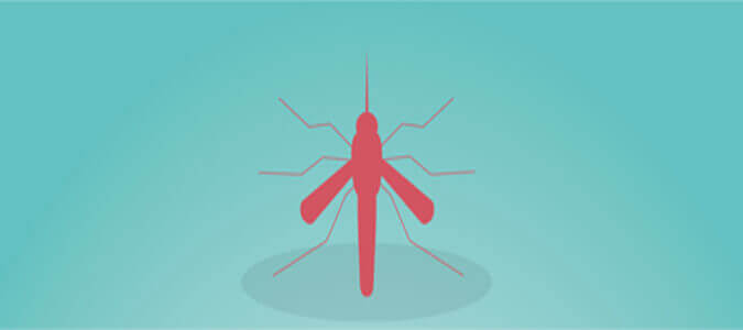 beware dengue fever